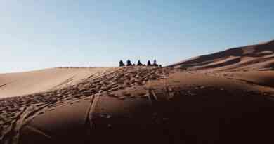 The story of the Arabian desert, for the beautiful girl, the father took revenge from the son