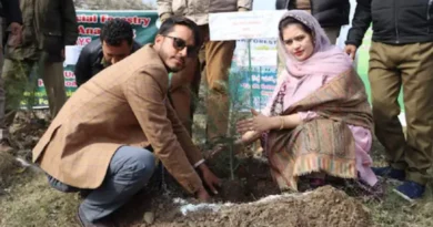 Newly wedded couple Tauseef Ahmed and Afroza Jan set an example by planting saplings