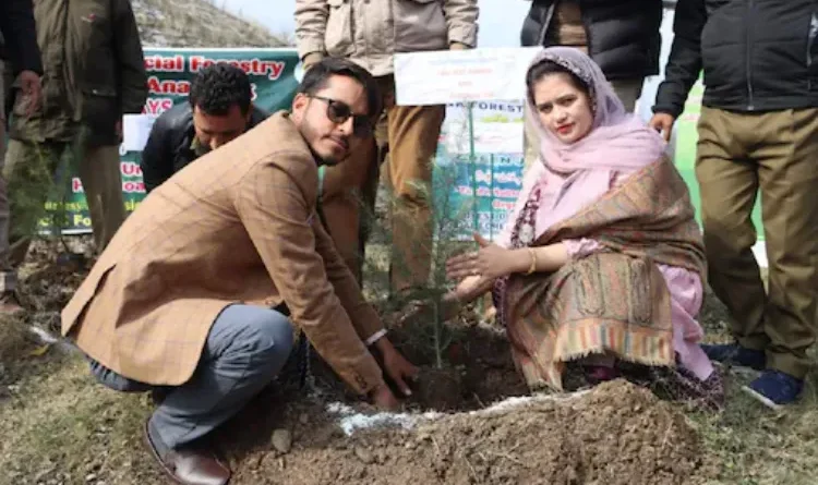 Newly wedded couple Tauseef Ahmed and Afroza Jan set an example by planting saplings