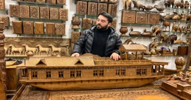 People were stunned to see Kashmiri houseboat made of walnut wood