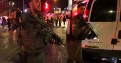 8 killed, 10 injured in attack on Jerusalem's Jewish synagogue after Israeli army killed 9 Palestinians