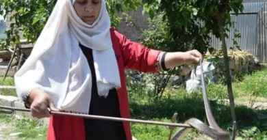 Kashmiri wildlife activist Aaliya Mir honored with wildlife conservation award for catching snakes in the blink of an eye