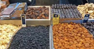 Politics heats up after Pakistani dates and dry fruits reach Israeli market, know what Shahbaz Sharif government said