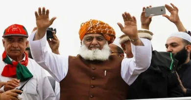 Leader of Imran Khan's party PTI said - Maulana Fazlur Rehman finds us women workers butterflies