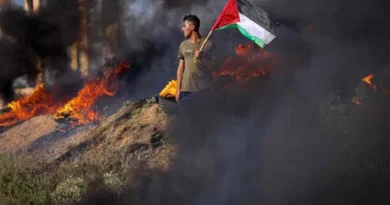 Arab countries and OIC rage over West Bank violence