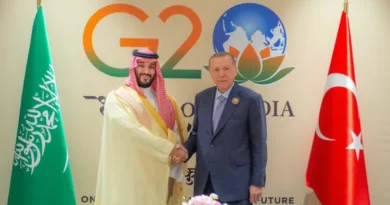 Crown Prince and President of Turkey meet on the sidelines of G20 summit, talks held behind closed doors