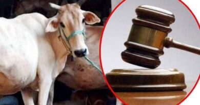 Allahabad High Court reprimands UP Police seizing vehicle UP Prevention Cow Slaughter Act