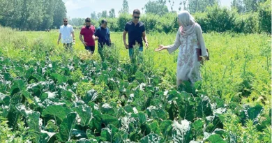 Ishrat Nazir showed path peace through organic farming troubled valleys Kashmir