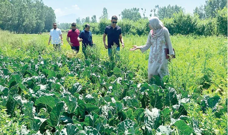 Ishrat Nazir showed path peace through organic farming troubled valleys Kashmir