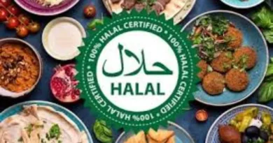What is considered Halal in Islam?