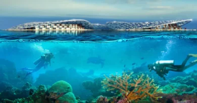 COP28 Dubai launch largest reef development project