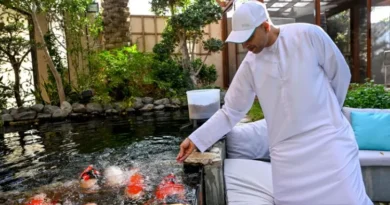 Dr. Haider Alyusuf created the most valuable Koi fish collection in Dubai