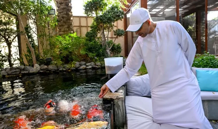 Dr. Haider Alyusuf created the most valuable Koi fish collection in Dubai