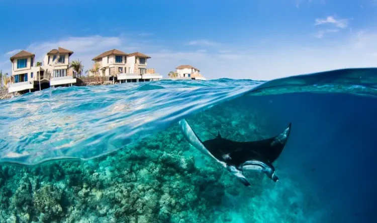 InterContinental Maldives set for Manta Retreat in March 2024