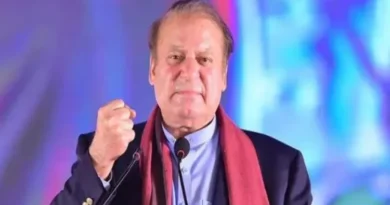 Nawaz Sharif's sharp attack on Imran Khan, political expert said - nothing new