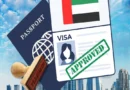 What is UAE's Blue Residency Visa, how is it different from Diamond Visa?