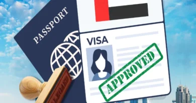 What is UAE's Blue Residency Visa, how is it different from Diamond Visa?