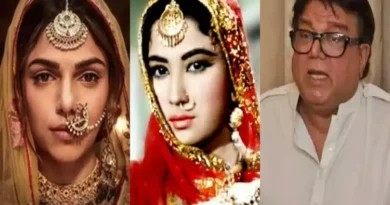 What did Hiramandi's Sharmin Sehgal say about Meena Kumari's character in Pakeezah that Tajdar Amrohi is upset