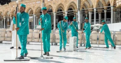 Do you know why the cleaning staff of Masjid al-Haram do not kill insects?