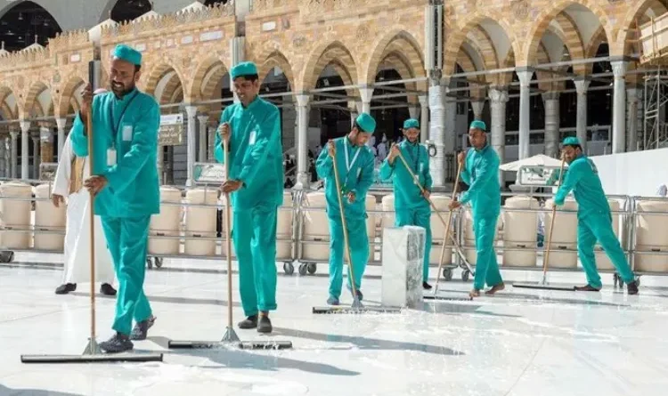 Do you know why the cleaning staff of Masjid al-Haram do not kill insects?