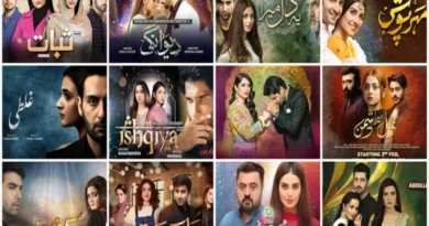 India's digital surgical strike on Pakistani dramas: Wall of politics on the bridge of art