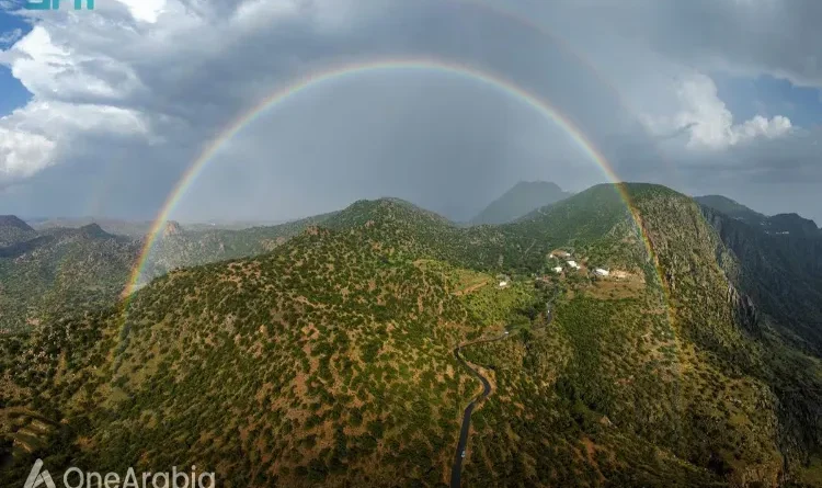 Know how Saudi Arabia is protecting biodiversity by restoring ancient juniper forests?