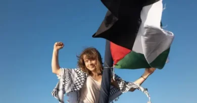 Israel is also afraid of Greta Thunberg: Child activist arrested on her way to Gaza