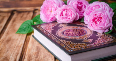 How did Prophet Yusuf (peace be upon him) gain control of Egypt?