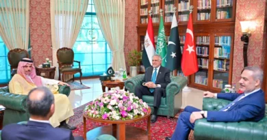 Islamabad Becomes a Hub of Peace: Major Summit of Saudi, Turkish, and Egyptian Leaders in Pakistan