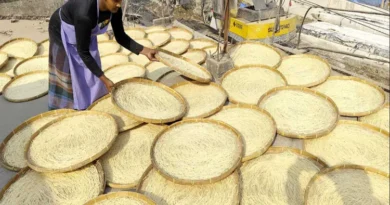 Chittagong's 90-year-old 'Chak Semai' Eid in Bangladesh is incomplete without it; learn the full story of this unique tradition.