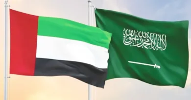 Rift in the Gulf: UAE's Exit from OPEC and Tensions with Saudi Arabia