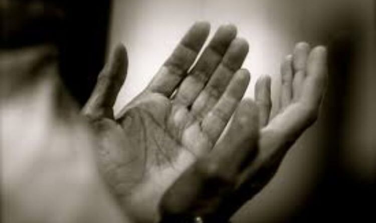 The Voice of Peace Resounds in Jaipur: A Message of Unity and Brotherhood Delivered to the World from Karbala Maidan