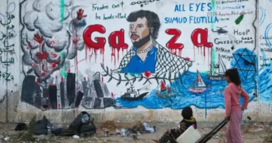 Arrest of Journalists on the Gaza Flotilla