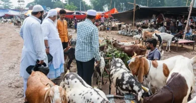 Bakrid 2026: Confusion Mounts Over Cow Sacrifice in Bengal