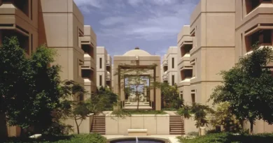 Corruption in Arab Universities Has Robbed Education of Its Future