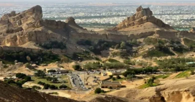 Eid-ul-Adha 2026: Best Road Trips in the UAE—A Complete Guide to Celebrating Your Holidays, from Hatta to Liwa