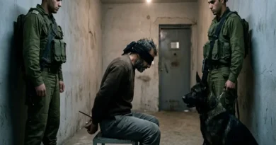 NYT Revelation: Sexual Abuse of Palestinian Prisoners by Dogs in Israeli Jails!