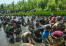 Centuries-old fish festival revived in Kashmir
