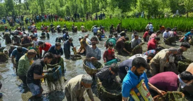 Centuries-old fish festival revived in Kashmir