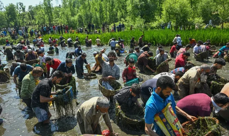 Centuries-old fish festival revived in Kashmir