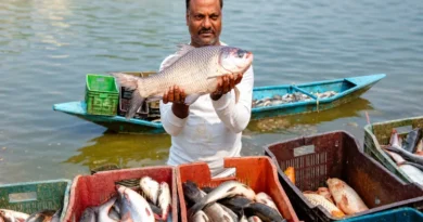 Assam Muslims' Success Story: Nazrul Haque Turns Floods into an Opportunity
