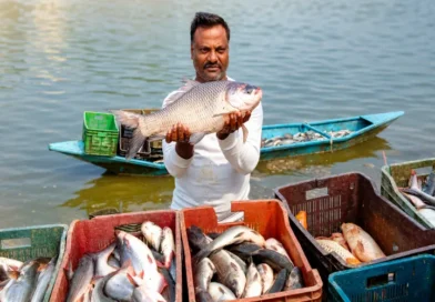 Assam Muslims' Success Story: Nazrul Haque Turns Floods into an Opportunity