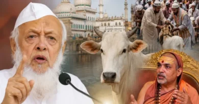 The Politics of the Cow: Politics Entangled by Darul Uloom's Maneuver; Demand for 'National Animal' Status Reshapes the Discourse.