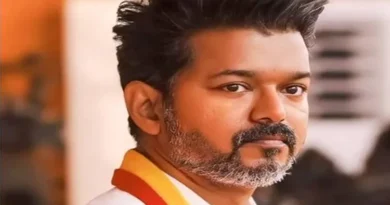 'Thalapathy's' Reign in Tamil Nadu: Is There a 'Secret Script' Behind Vijay's Victory?