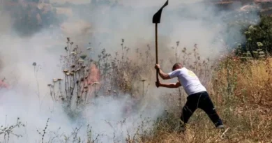 Settler violence in West Bank at record levels: UN