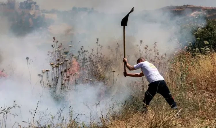 Settler violence in West Bank at record levels: UN