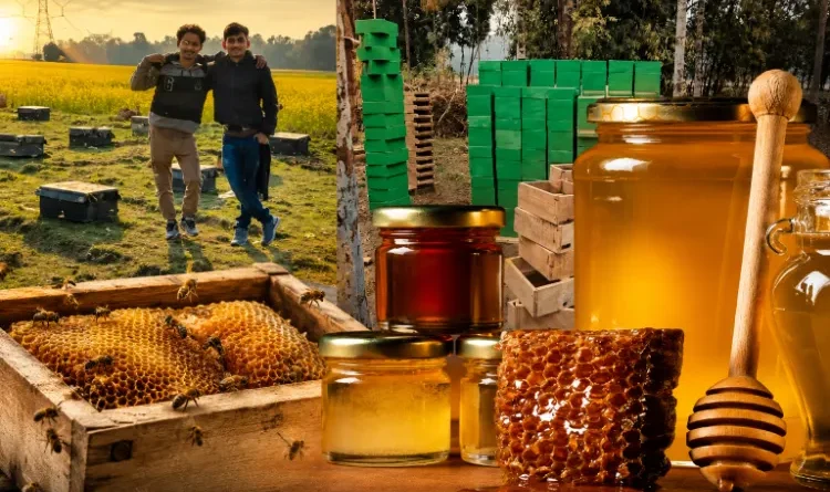 Assam's Vicky Hussain transformed his fortunes through beekeeping, earning lakhs.