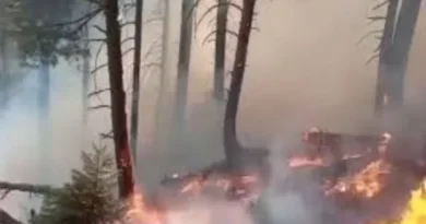 Rajouri forests ablaze amidst scorching heat; concerns mount.