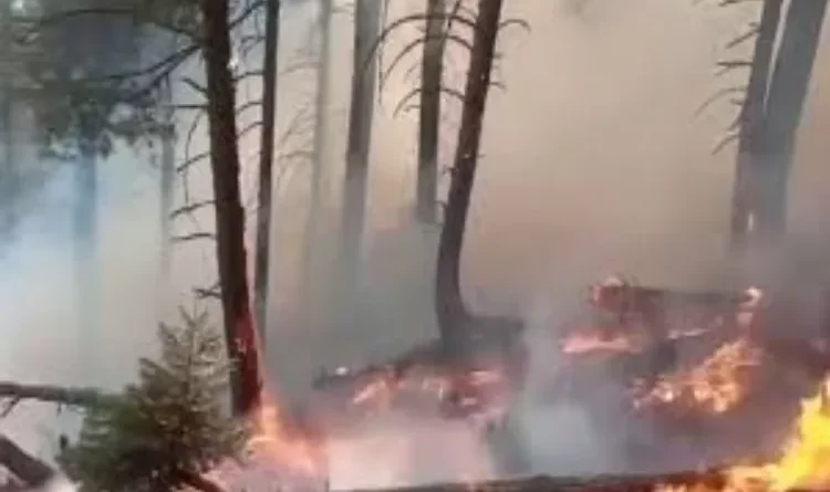 Rajouri forests ablaze amidst scorching heat; concerns mount.