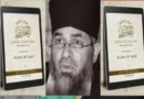 What was the connection between South Africa's Grand Mufti Ebrahim Desai and India?